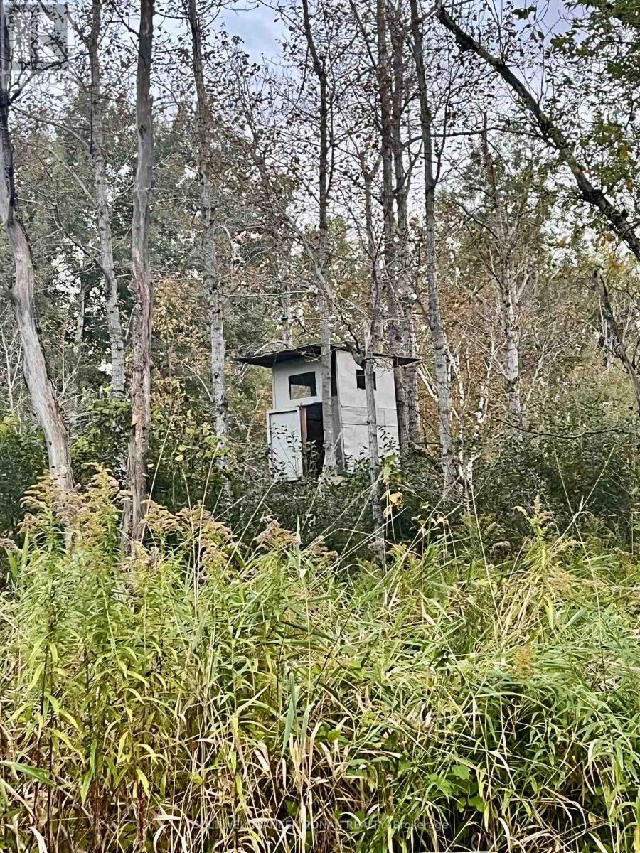 345198 15 Sideroad, Amaranth, ON photo 11