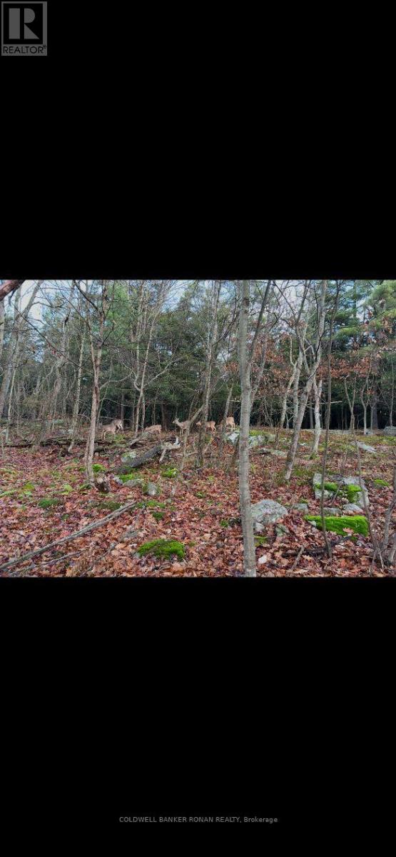 345198 15 Sideroad, Amaranth, ON photo 20