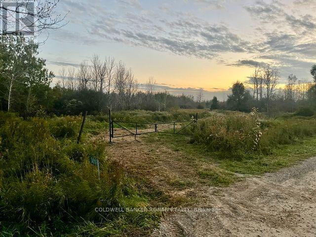 345198 15 Sideroad, Amaranth, ON photo 21