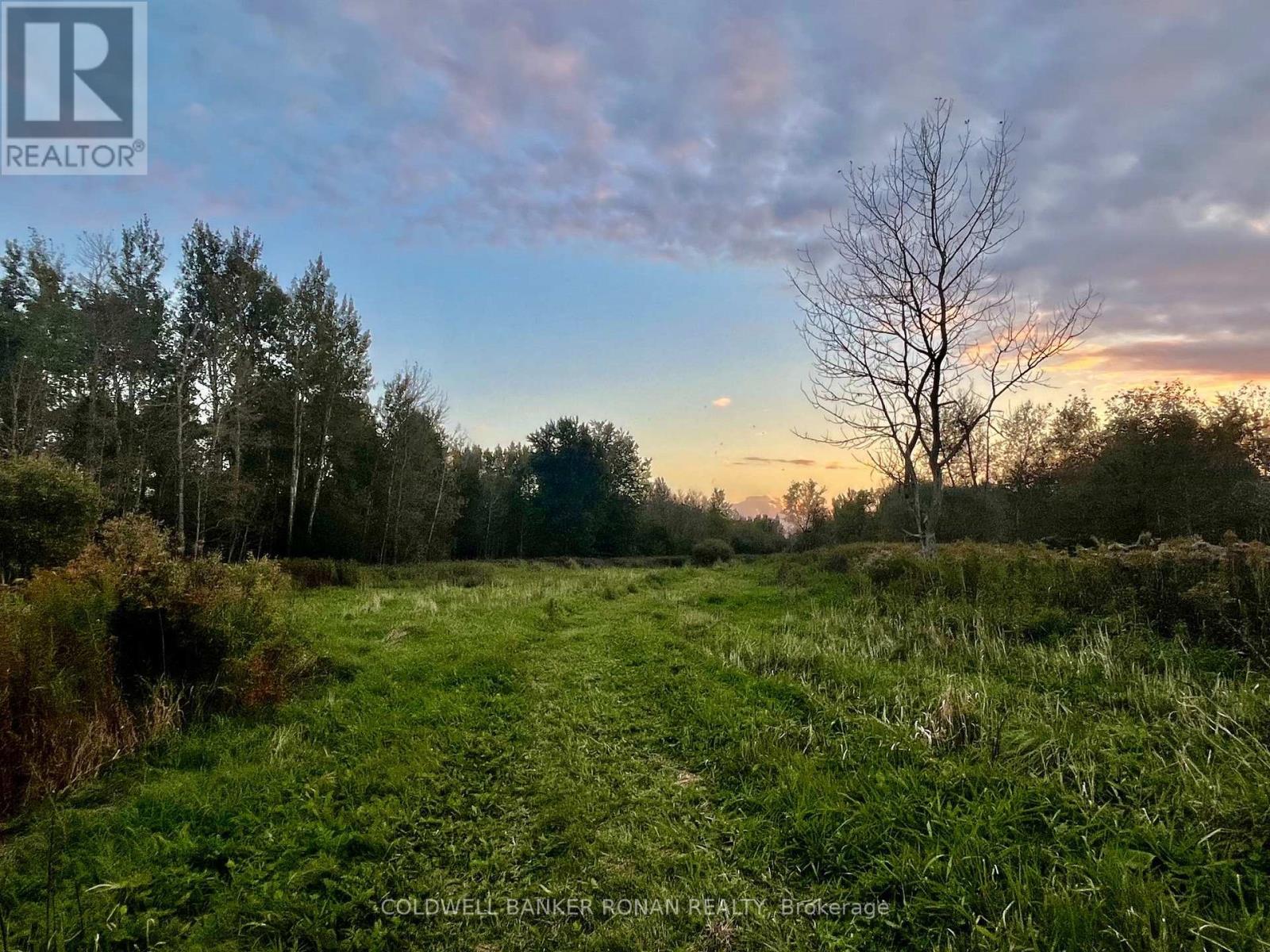 345198 15 Sideroad, Amaranth, ON photo 7