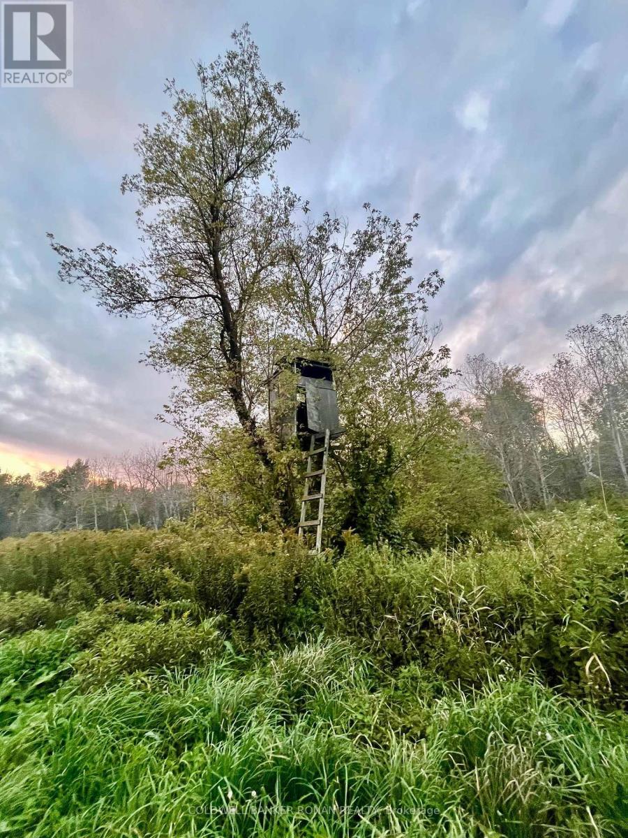 345198 15 Sideroad, Amaranth, ON photo 9