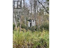 345198 15 Side Road, Amaranth, ON L0N1S0 Photo 11