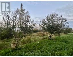 345198 15 Side Road, Amaranth, ON L0N1S0 Photo 13