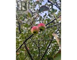 345198 15 Side Road, Amaranth, ON L0N1S0 Photo 14
