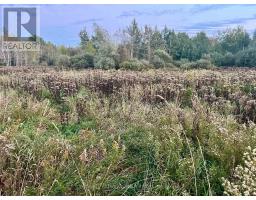345198 15 Side Road, Amaranth, ON L0N1S0 Photo 15