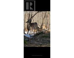 345198 15 Side Road, Amaranth, ON L0N1S0 Photo 17