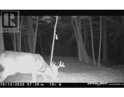 345198 15 Side Road, Amaranth, ON L0N1S0 Photo 18