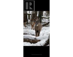 345198 15 Side Road, Amaranth, ON L0N1S0 Photo 19