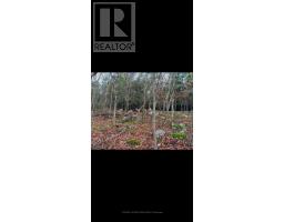345198 15 Side Road, Amaranth, ON L0N1S0 Photo 20
