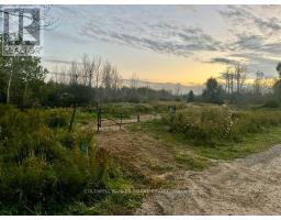345198 15 Side Road, Amaranth, ON L0N1S0 Photo 21