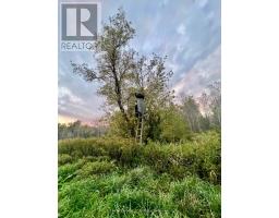 345198 15 Side Road, Amaranth, ON L0N1S0 Photo 9