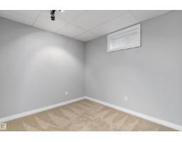 16166 110 A Av Nw Nw, Edmonton, AB T5P1J1 Photo 36