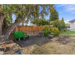 16166 110 A Av Nw Nw, Edmonton, AB T5P1J1 Photo 44