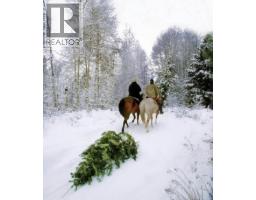 281 Lindley Creek Road, Merritt, BC V1K1L4 Photo 47