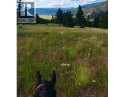 281 Lindley Creek Road, Merritt, BC V1K1L4 Photo 68