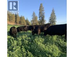 281 Lindley Creek Road, Merritt, BC V1K1L4 Photo 64