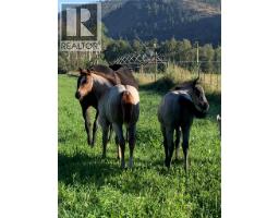 281 Lindley Creek Road, Merritt, BC V1K1L4 Photo 66