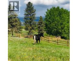 281 Lindley Creek Road, Merritt, BC V1K1L4 Photo 69
