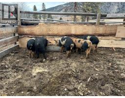 281 Lindley Creek Road, Merritt, BC V1K1L4 Photo 43