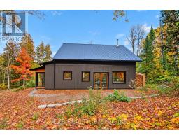 4197 Matawatchan Road, Greater Madawaska, ON K0J2R0 Photo 42