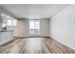 680 Boul. St-joseph, #1607, Gatineau, QC J8Y4A9 Photo 15