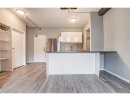 680 Boul. St-joseph, #304, Gatineau, QC J8Y4A9 Photo 9