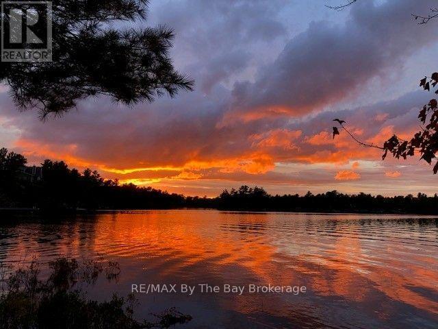 10158 Georgian Bay Shore — photo 27