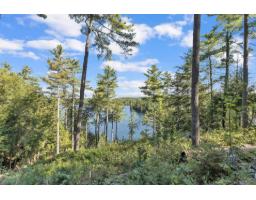 143 Ch. Du Domaine, Val Des Monts, QC J8N5B9 Photo 37