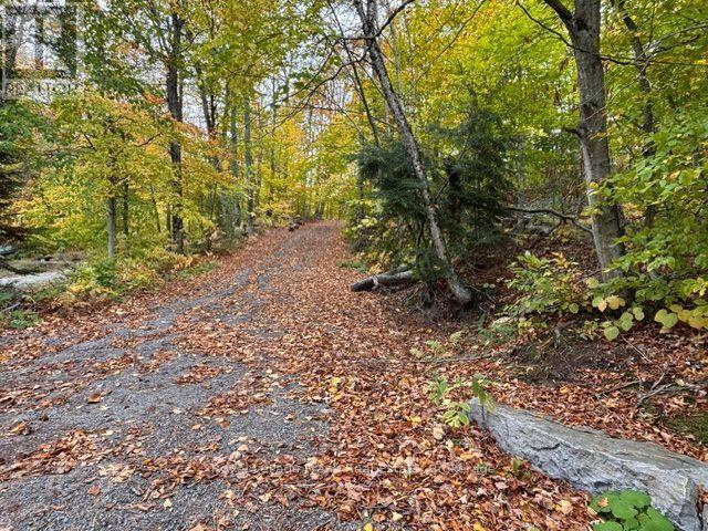 231 WEST DIAMOND LAKE ROAD - 30