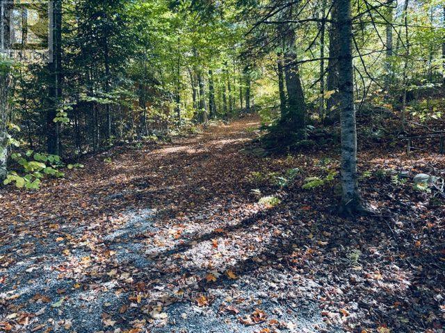 245 WEST DIAMOND LAKE ROAD - 26