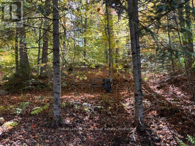 245 West Diamond Lake Road, Hastings Highlands, ON photo 27