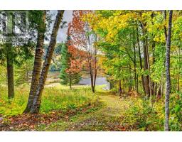 1204 Charlie Thompson Road, Lake Of Bays, ON P0A1H0 Photo 40