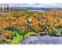 1204 Charlie Thompson Road, Lake Of Bays, ON P0A1H0 Photo 48