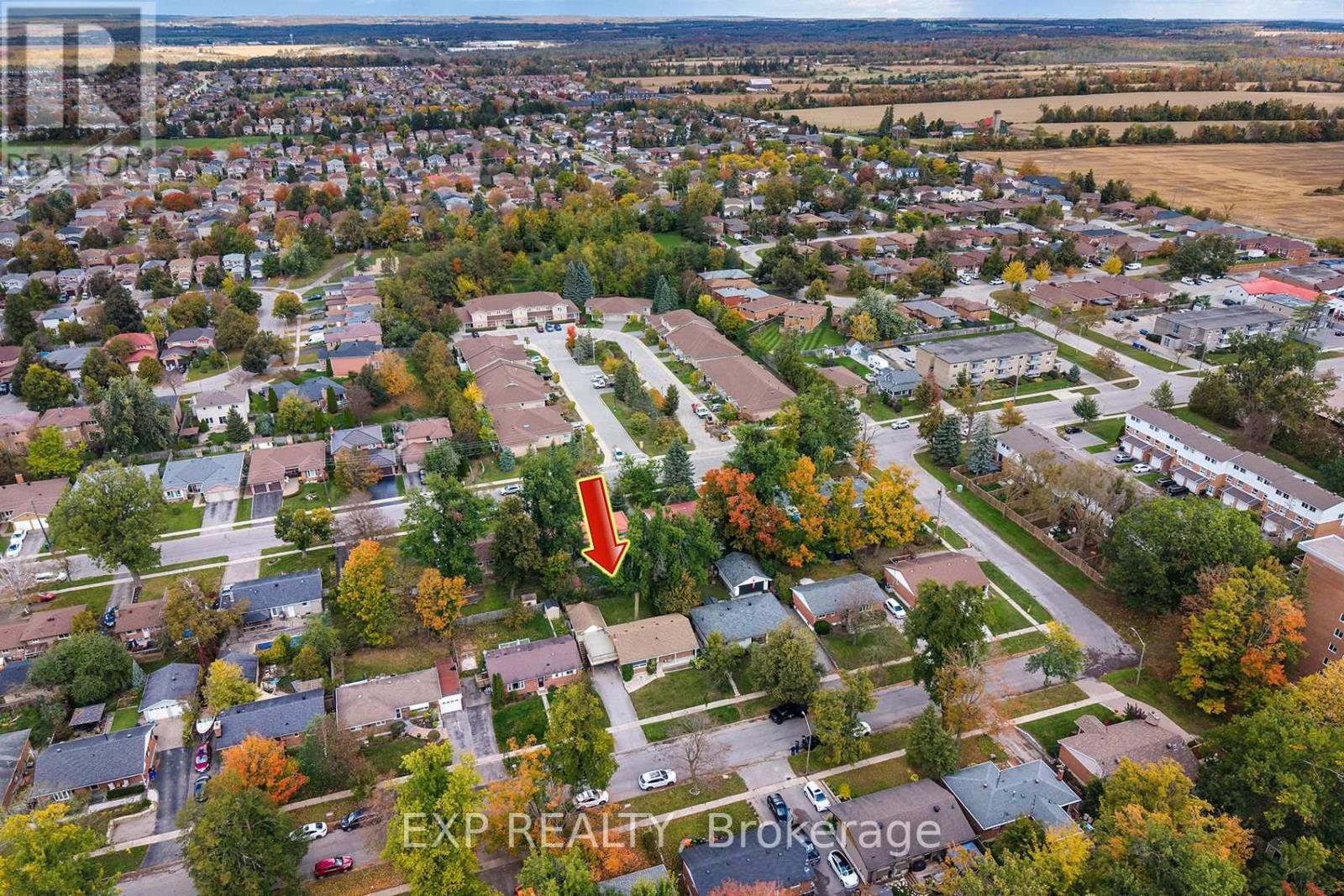 28 ALEXANDER AVENUE - 2