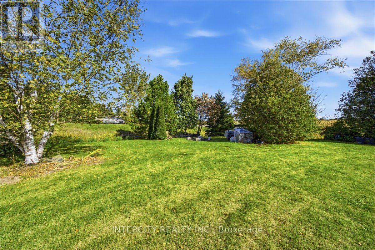 3 TORRANCE LANE - 47