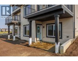 142 Lakewood Crescent, Strathmore, AB T1P0G6 Photo 39