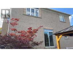 371 Dowson Loop, Newmarket, ON L3X3G3 Photo 17
