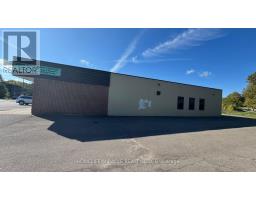 340 Thorold Road, Welland, ON L3C6H5 Photo 6