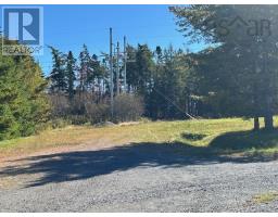 Recreational, Games room - 29 Lakeview Drive, St  Peter's, NS B0E3B0 Photo 6