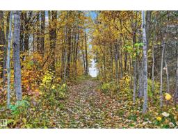 5 Alder Av, Rural Lac Ste  Anne County, AB T0E0L0 Photo 38