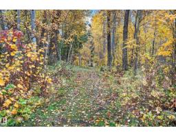 5 Alder Av, Rural Lac Ste  Anne County, AB T0E0L0 Photo 37