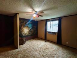 117 Market Street, Carberry, MB R0K0H0 Photo 14
