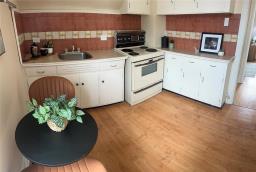 991 Pritchard Avenue, Winnipeg, MB R2X0G3 Photo 19