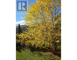 128 Coalbrook Court, Vaughan, ON L4L9B6 Photo 22
