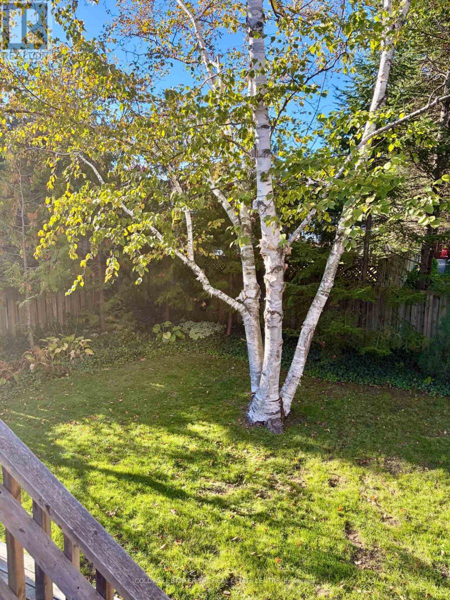 59 Pepler Place, Barrie, ON photo 23