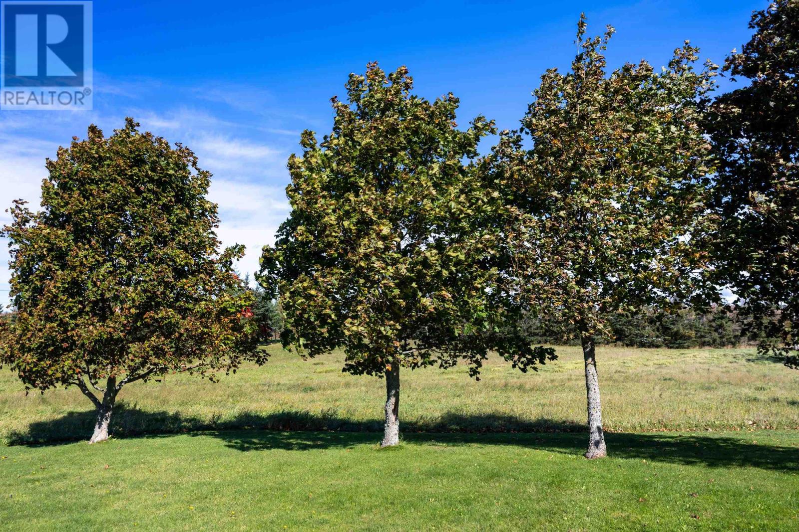 2390 Mt. Stewart Road - 36