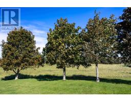 2390 Mt. Stewart Road, Peakes, PE C0A1T0 Photo 36