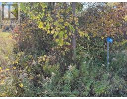 143 Preston Road, Centre Hastings, ON K0K2K0 Photo 6