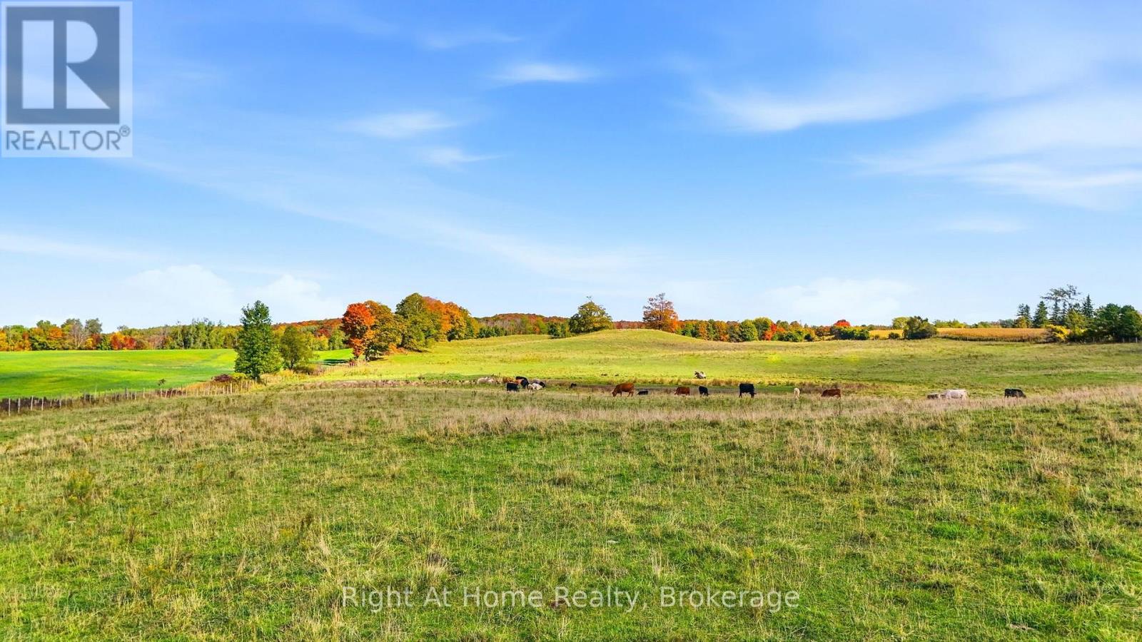 PT LT 41-42 CONCESSION 1 ROAD, Huron-Kinloss — photo 11