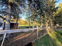 99149 82w Road, Birnie, MB R0J1H0 Photo 29